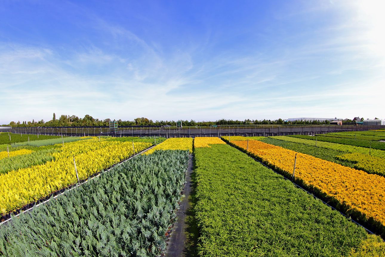 Tuinbouw bomenkweker fotografie