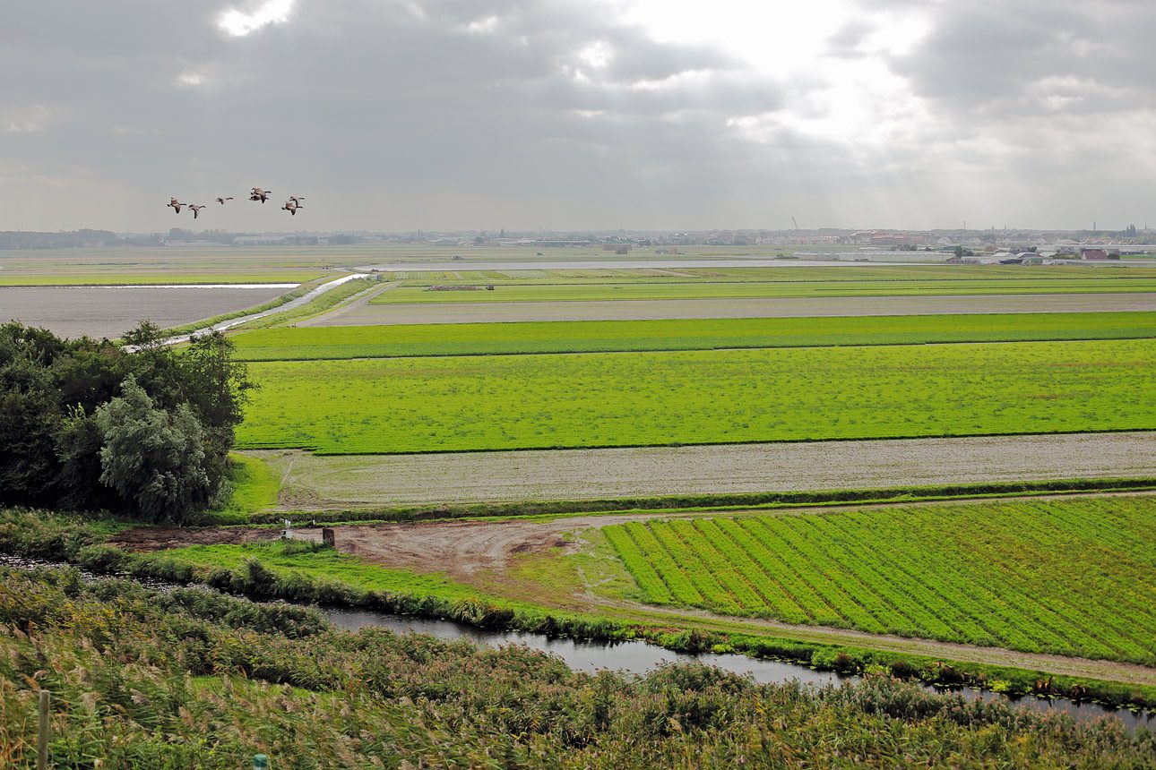 Tuinbouw bomenkweker fotografie