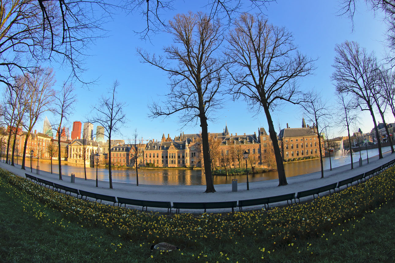 vrij werk van fotograaf Den Haag