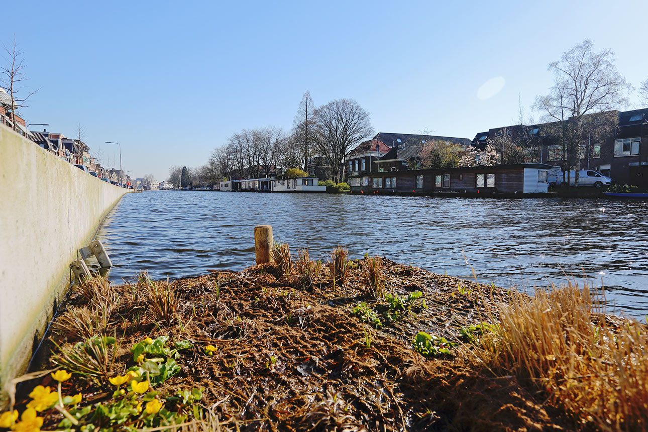 Natuur fotografie plantenbakken in de grachten van Gouda