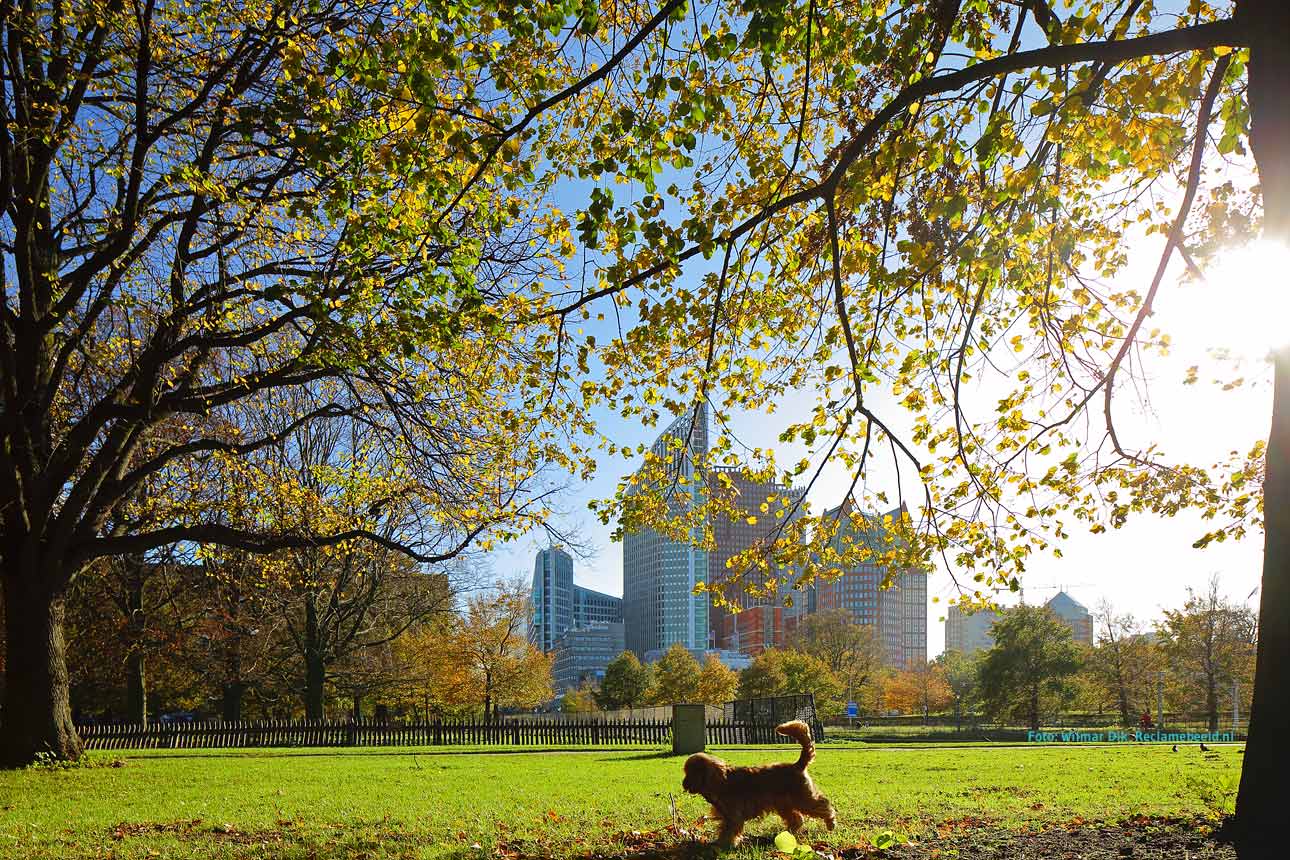 Natuurfotografie Den Haag