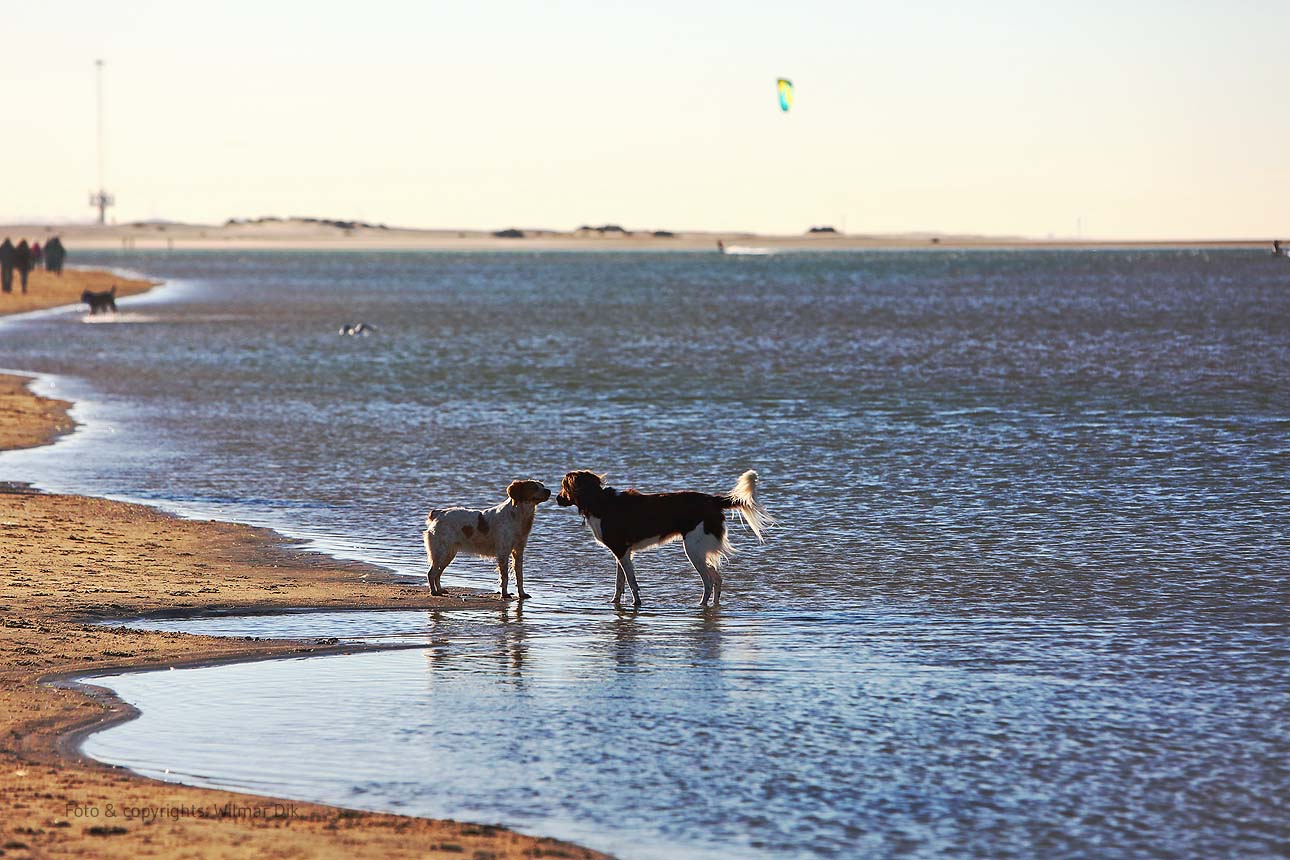 201118-strand-WilmarDik-13