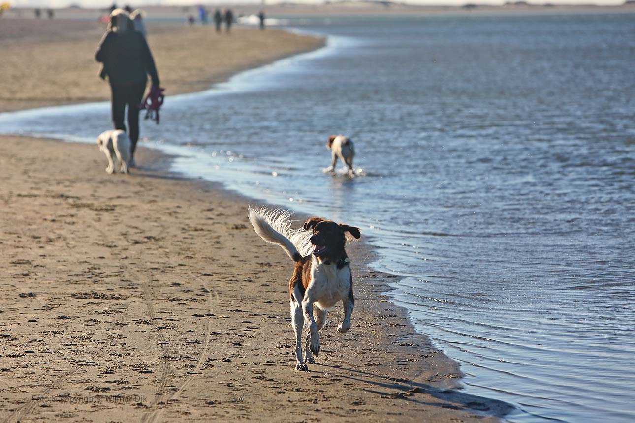 201118-strand-WilmarDik-14