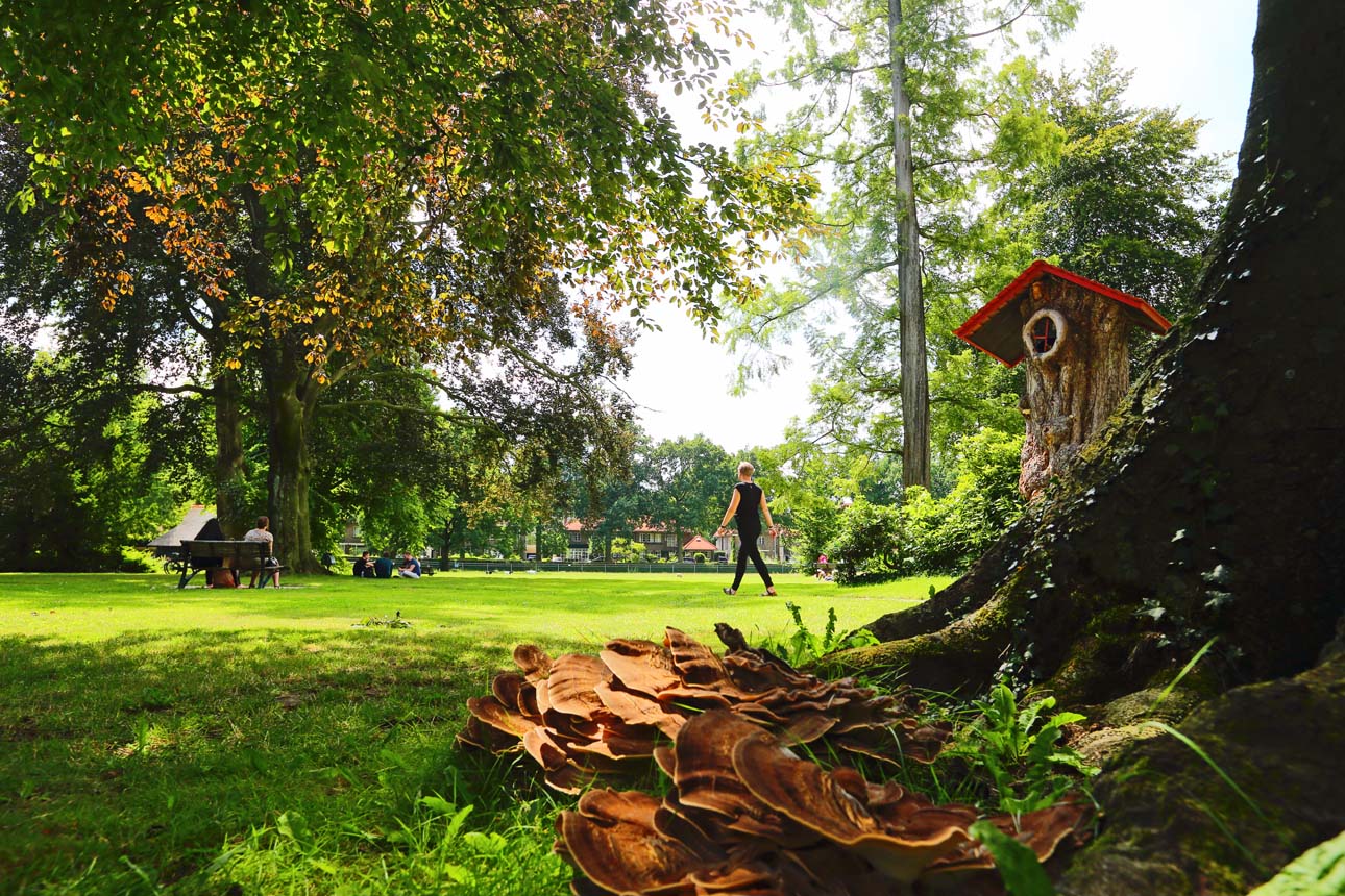 Gebiedsontwikkeling fotografie wandelnetwerk