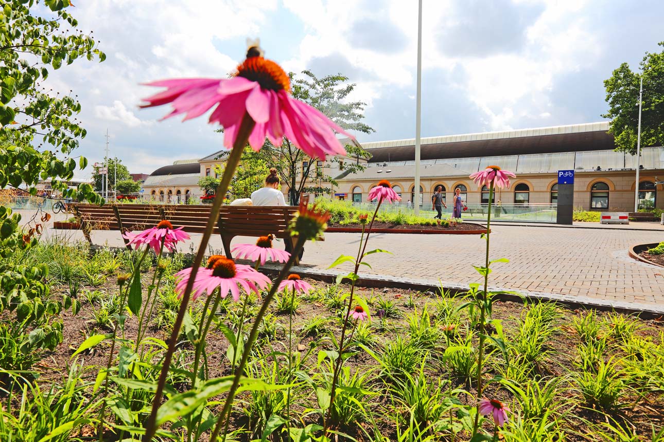 Gebiedsontwikkeling fotografie in Zwolle