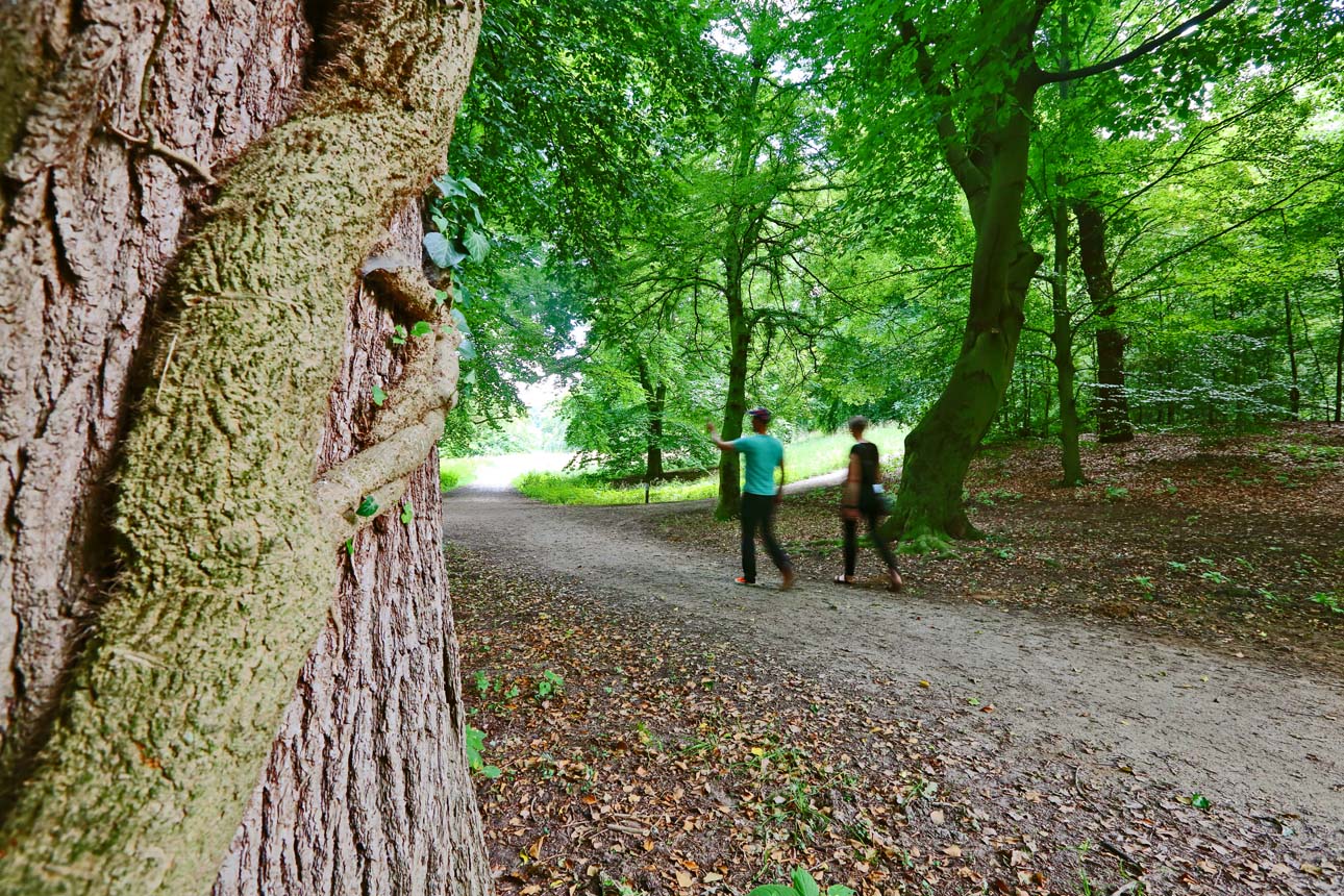 Gebiedsontwikkeling fotografie wandelnetwerk