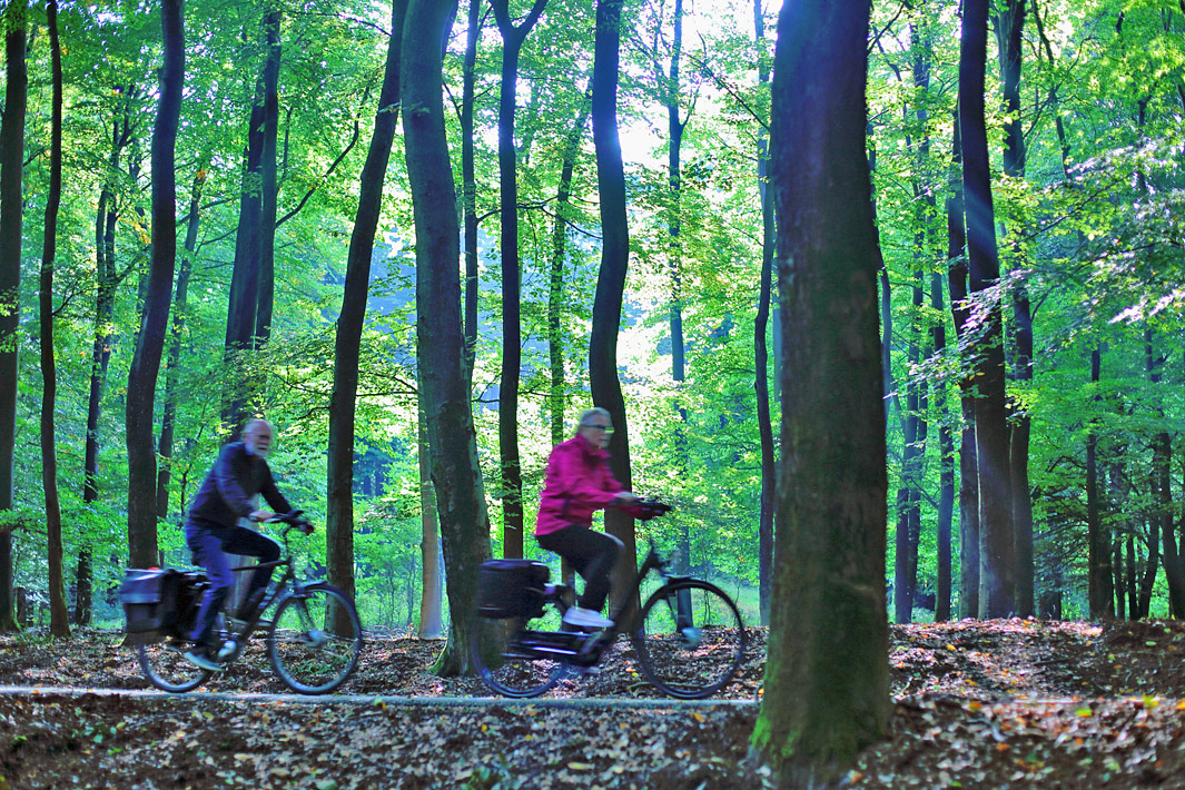 fietsen-in-de-veluwe