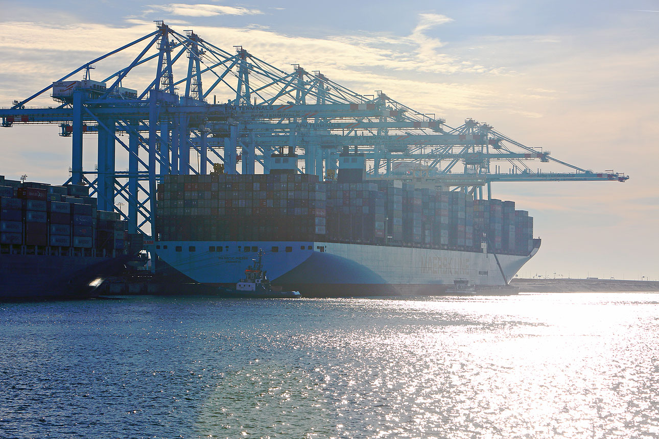 containerschip Rotterdam haven