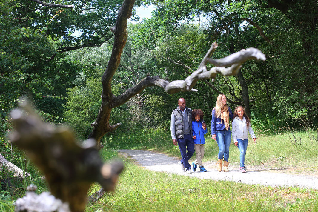 toerisme fotografie vakantiepark