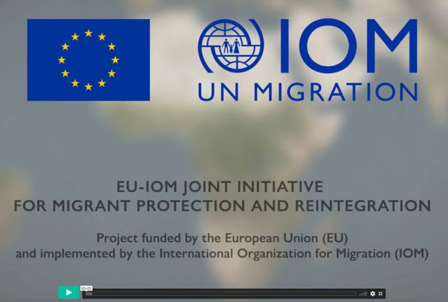 IGO-NGO-film